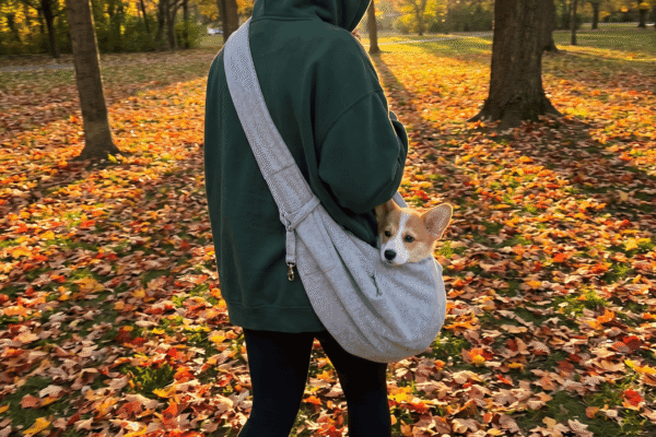 hf_20260419_103548_71510e16-3fa5-41a0-8c8b-d3e89a95e141