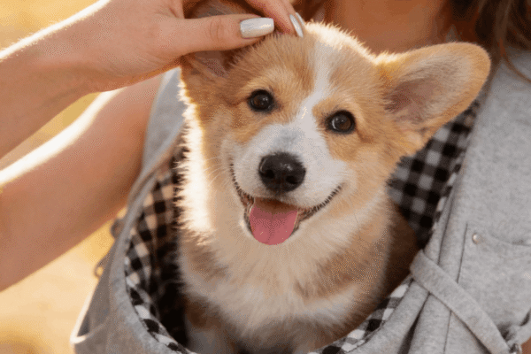 hf_20260419_103551_94be478f-0059-4c84-804f-fc58fe8226f1